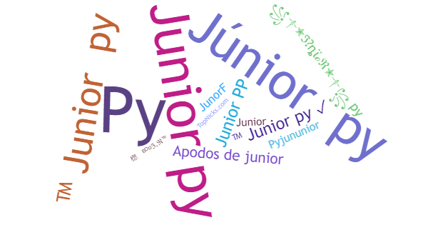 ألقاب لـ Juniorpy