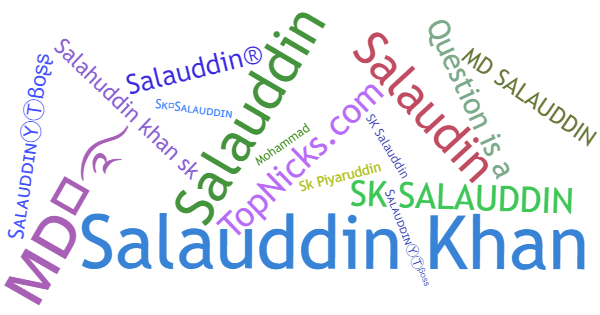 ألقاب لـ Salauddin